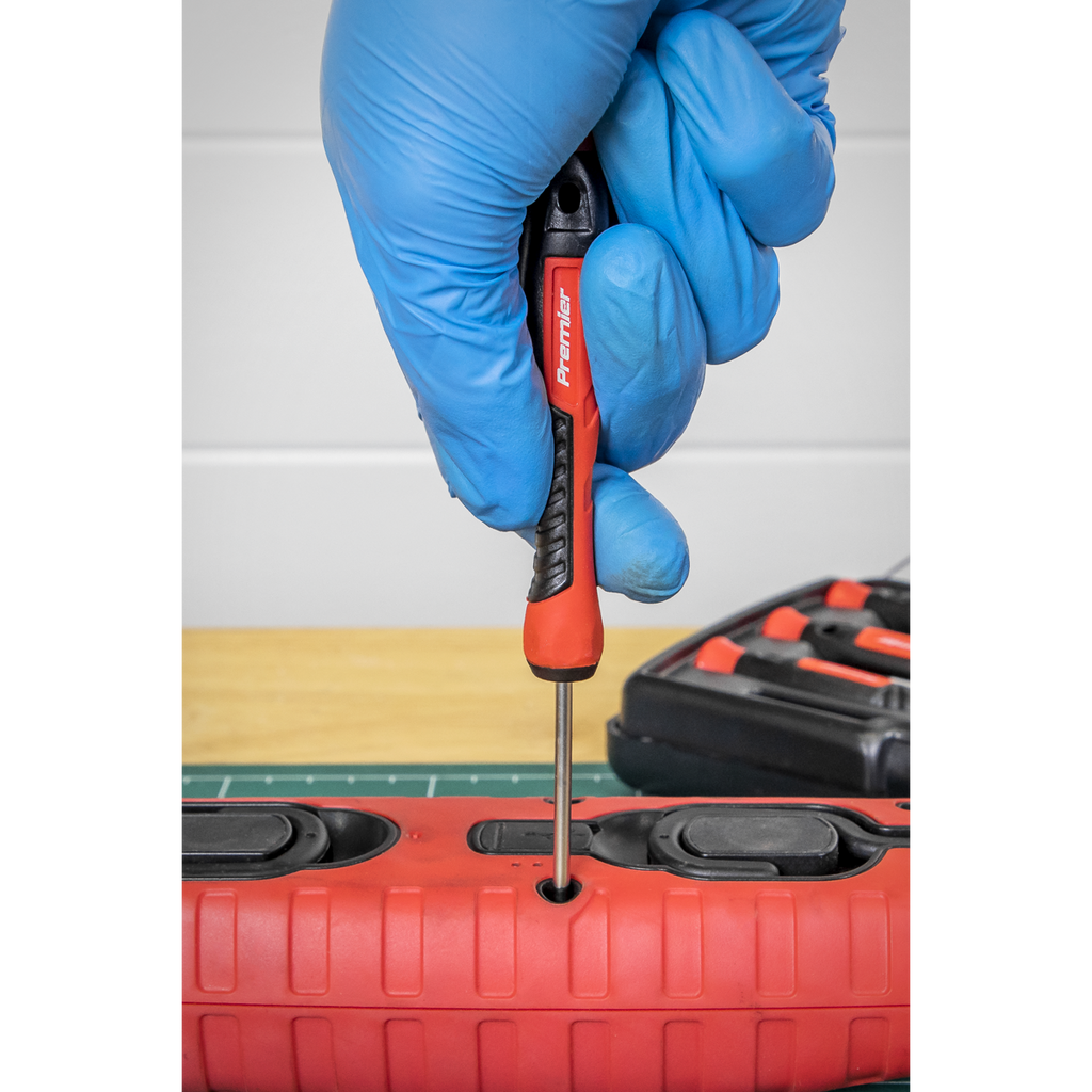 Premier Precision Screwdriver Set 6pc