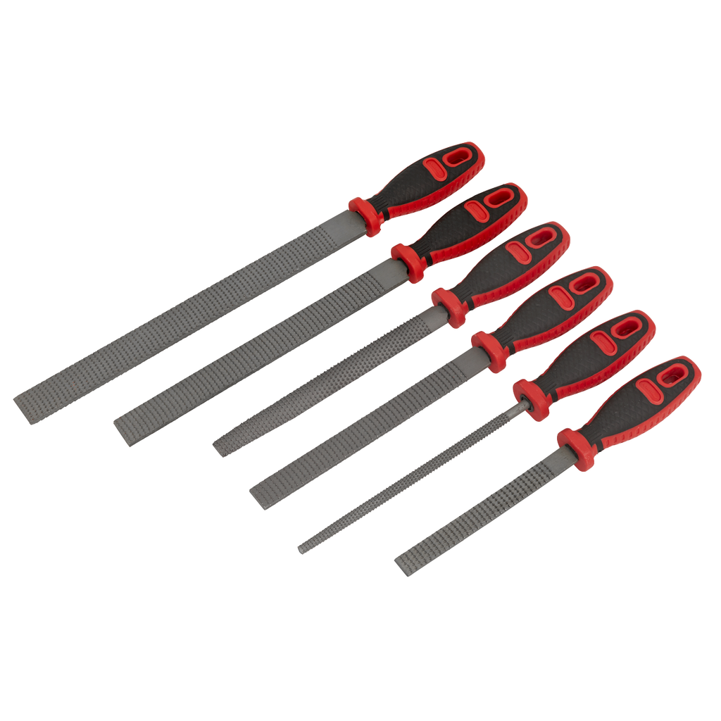 Premier Rasp File Set 6pc