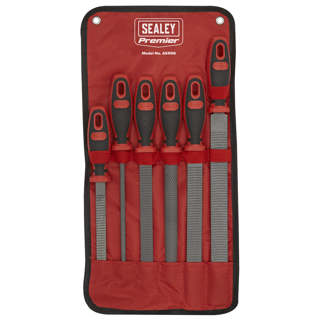 Premier Rasp File Set 6pc