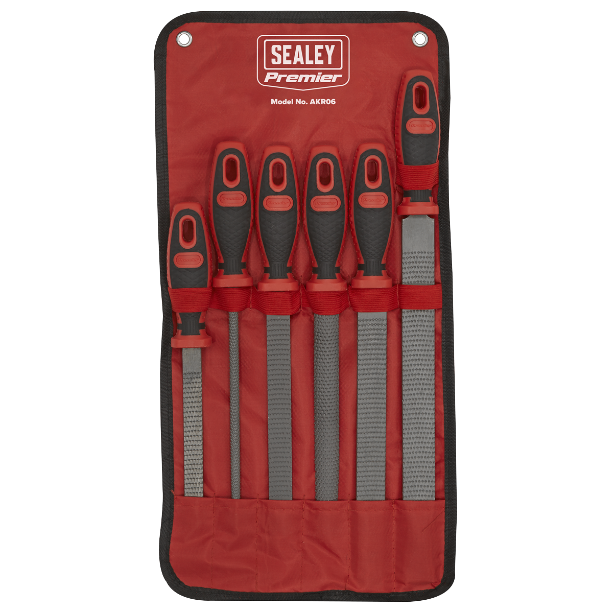 Premier Rasp File Set 6pc