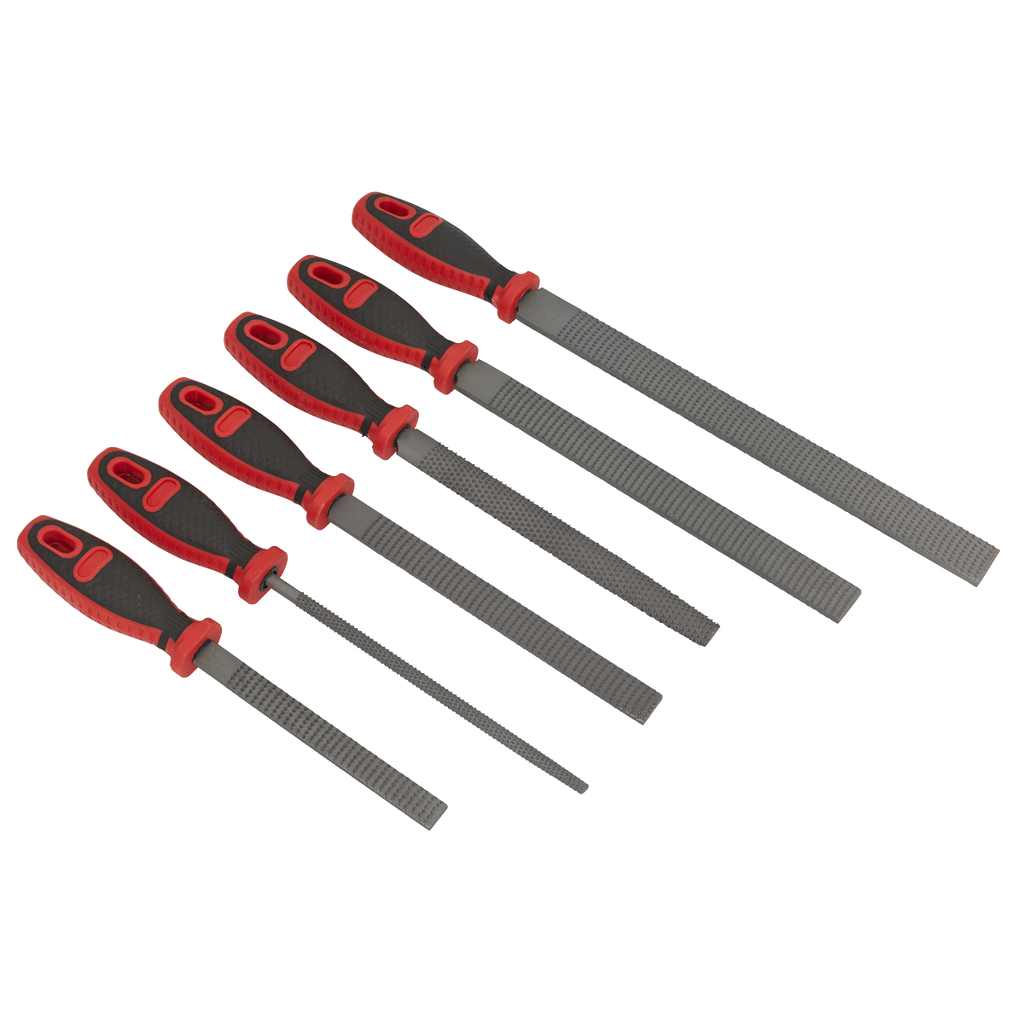 Premier Rasp File Set 6pc