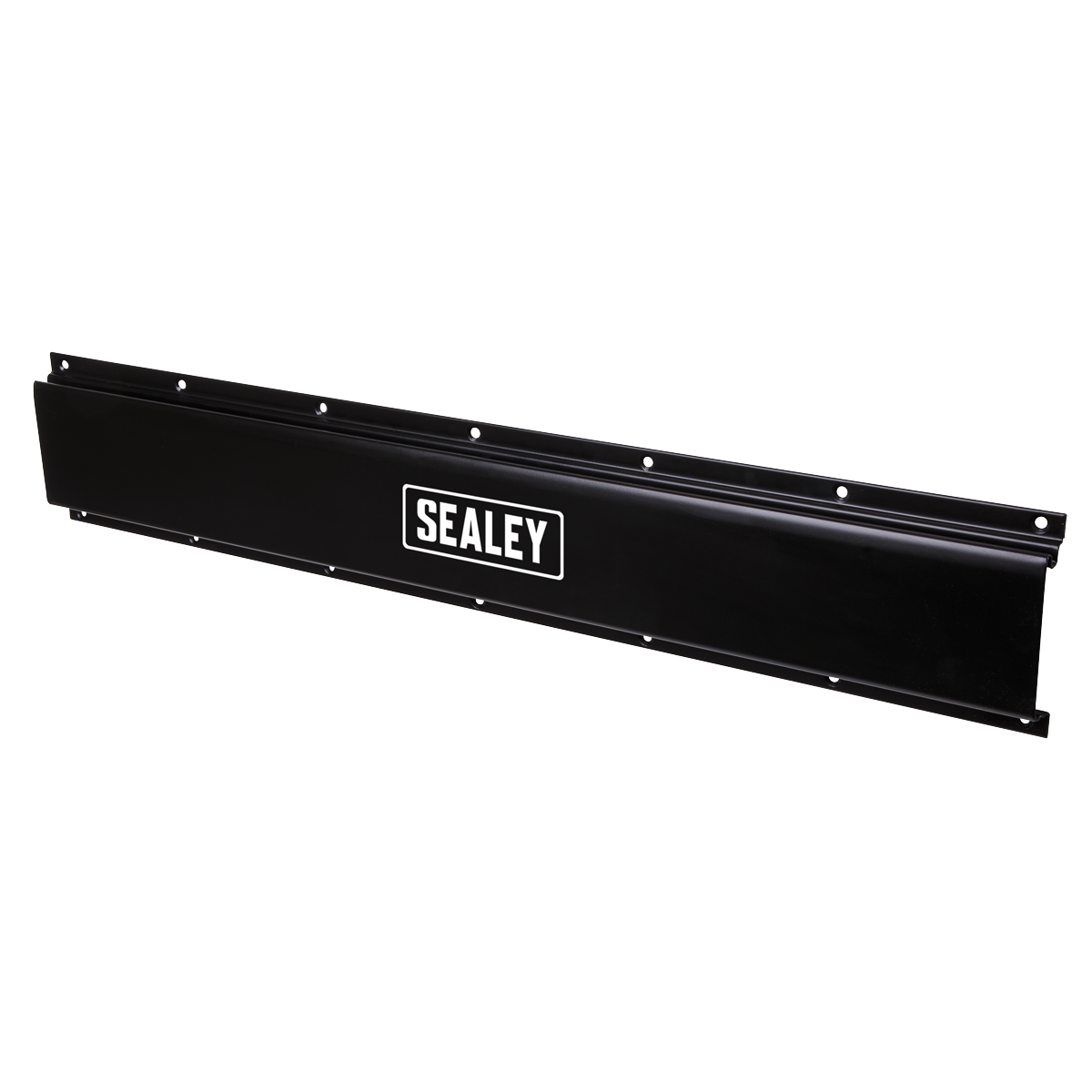 Wall Mounting Storage Rail