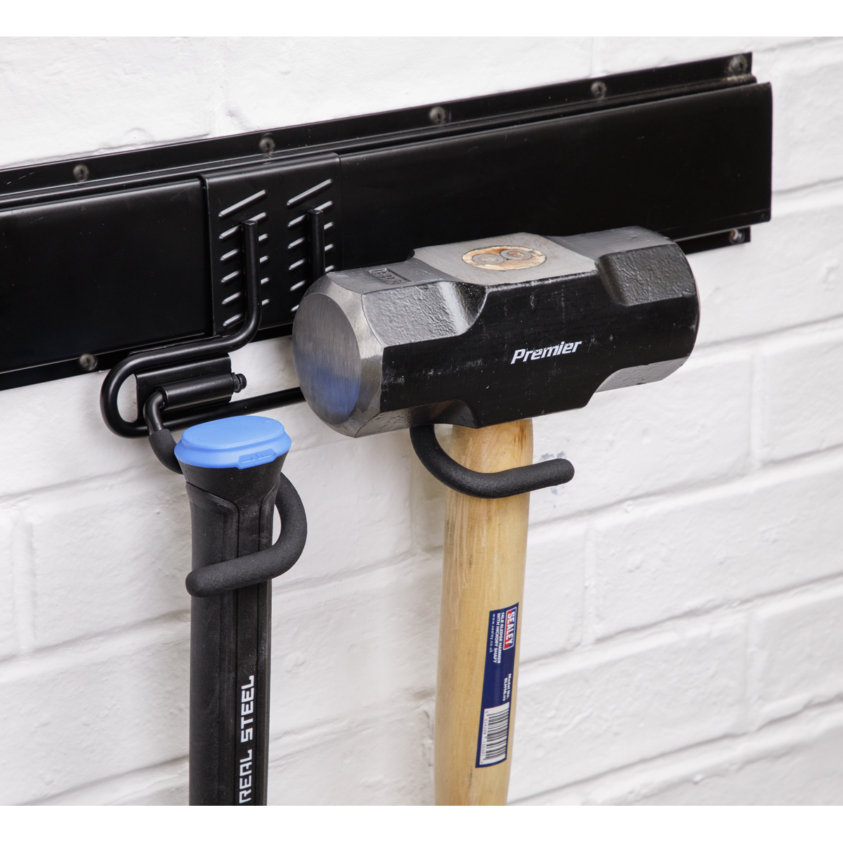 Double S Storage Hook (APH08)