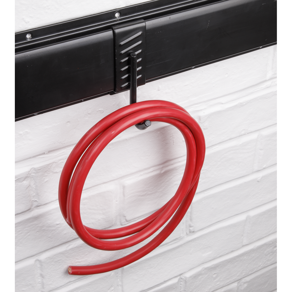 Single J Prong Storage Hook (APH10)