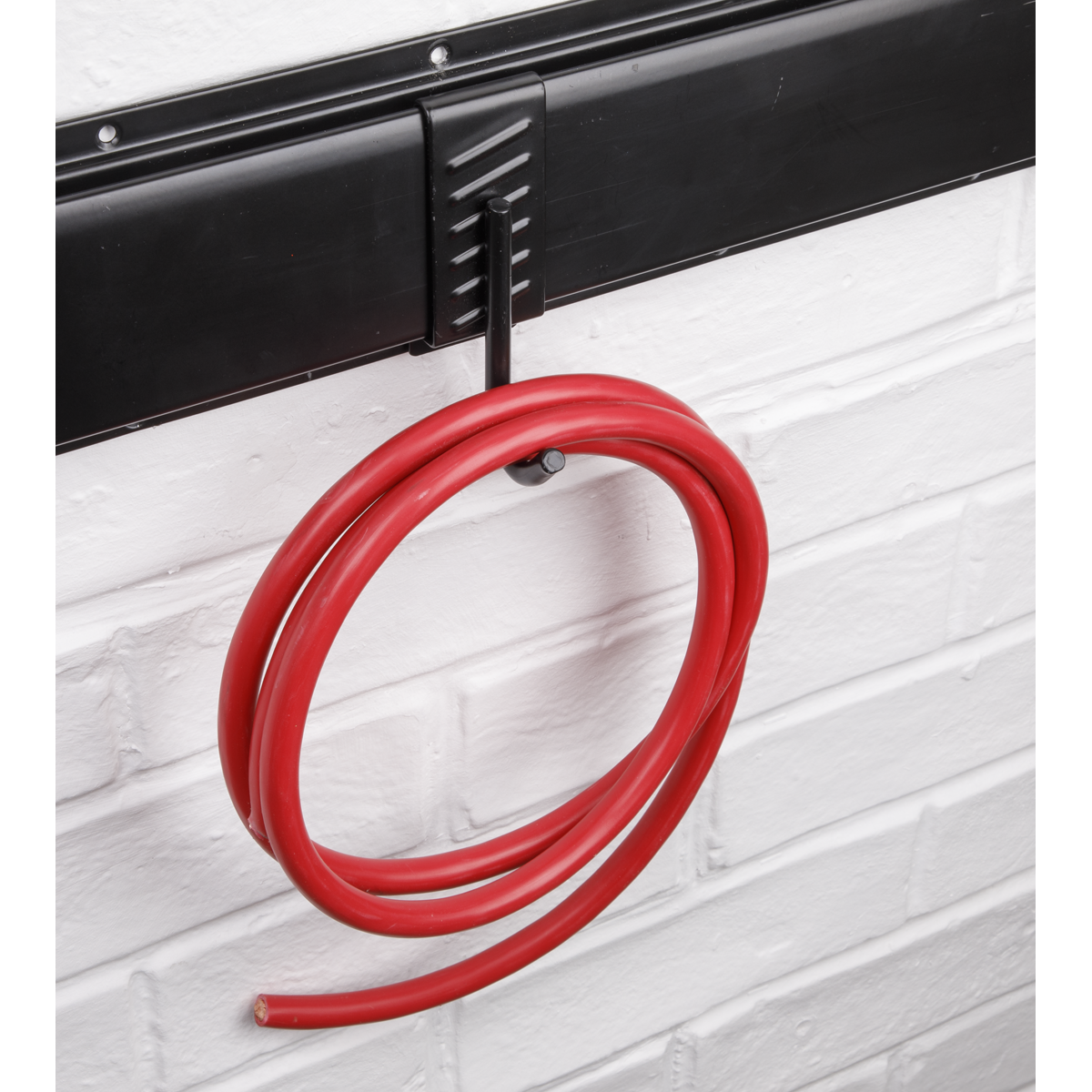 Single J Prong Storage Hook (APH10)