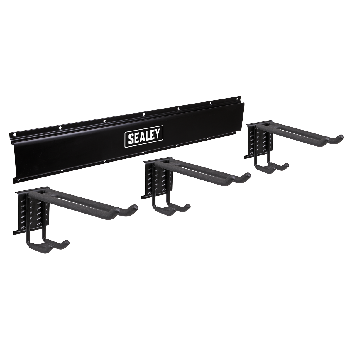 Wall Mounting Storage Rail with 3 Dual Hooks