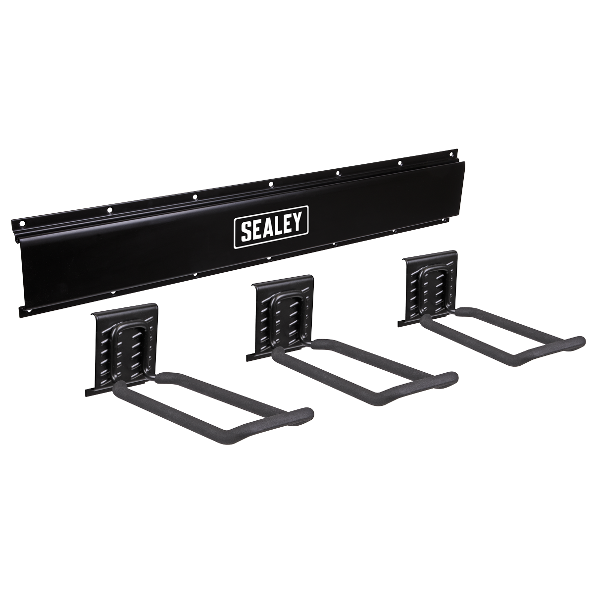 Wall Mounting Storage Rail with 3 Closed End Hooks
