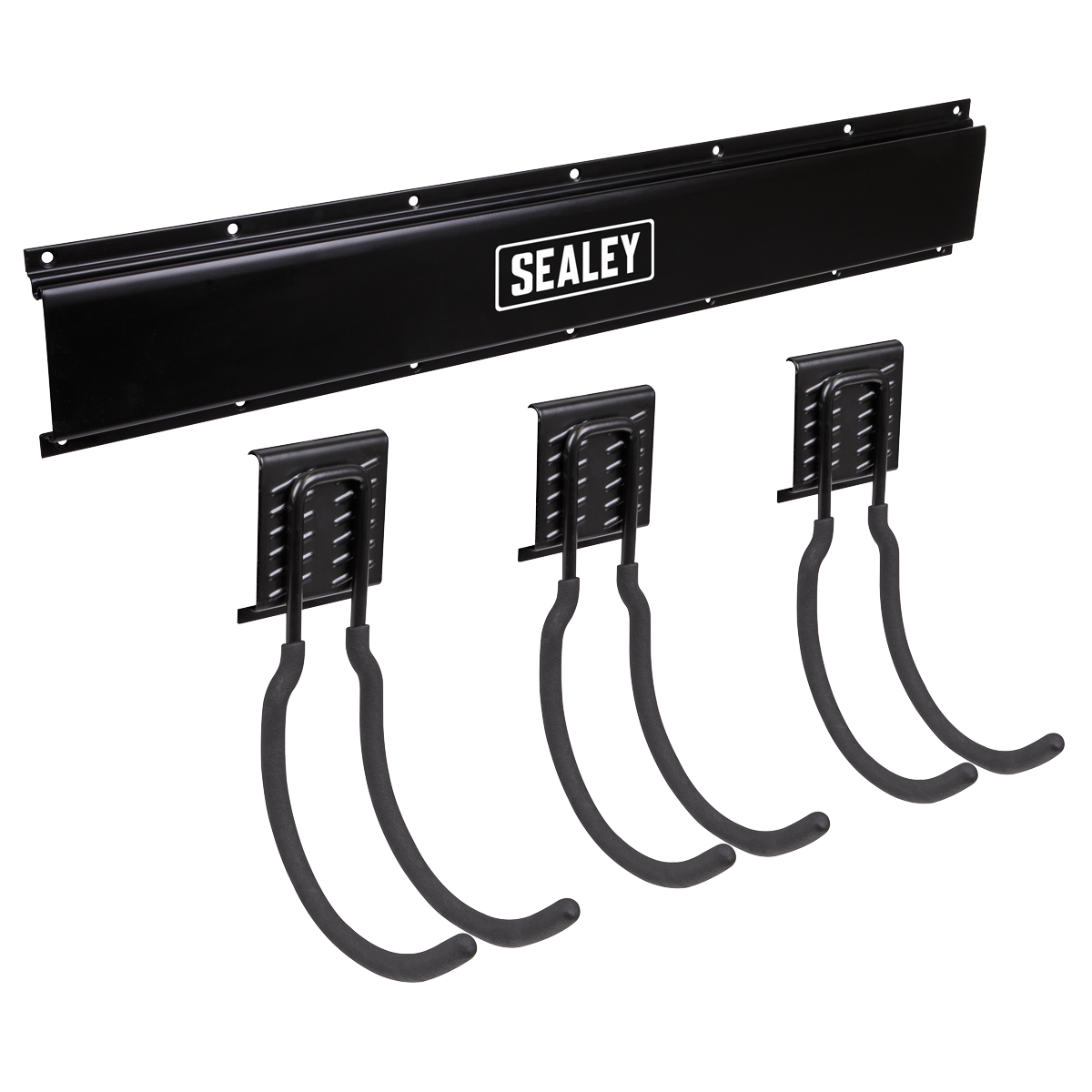Wall Mounting Storage Rail with 3 Large Hooks
