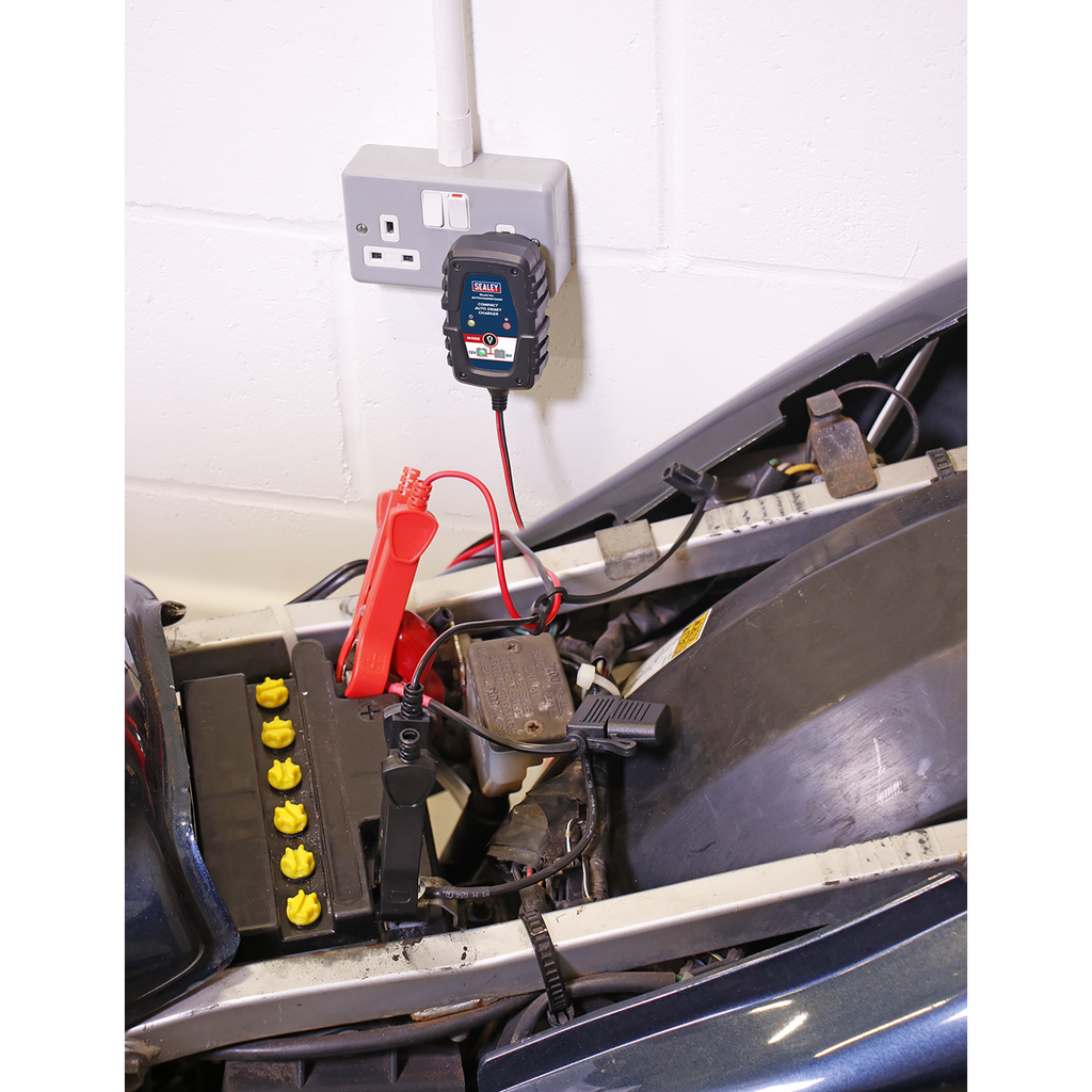 6/12V Compact Smart Trickle Charger & Maintainer, 1A (AUTOCHARGE100HF)