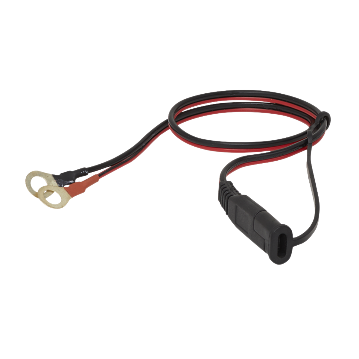 6/12V Compact Smart Trickle Charger & Maintainer, 1A (AUTOCHARGE100HF)