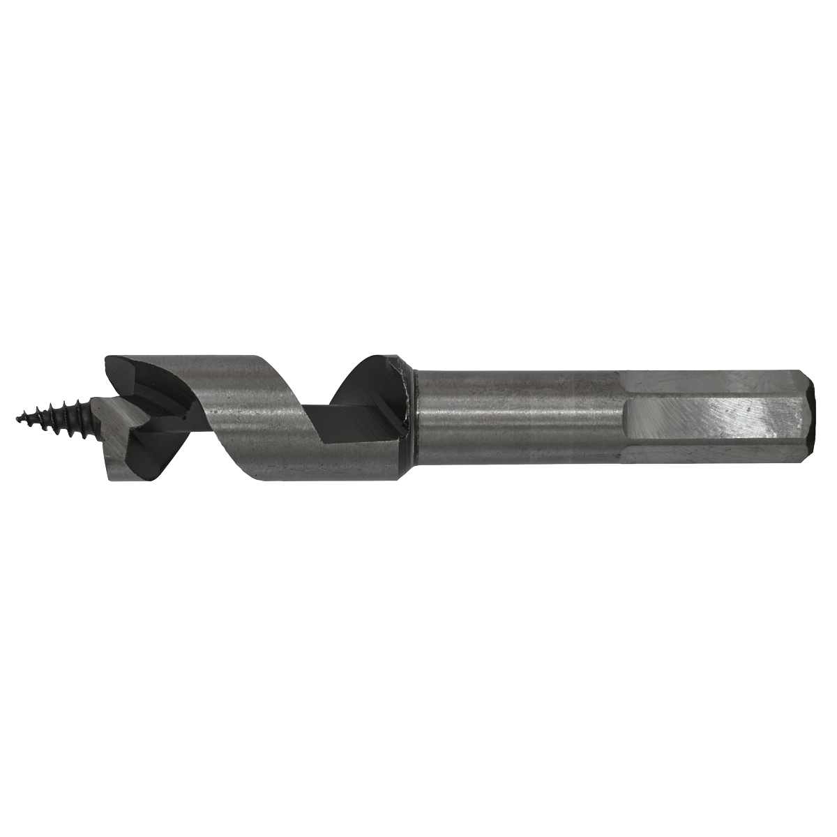 Auger Wood Drill Bit 16 x 100mm