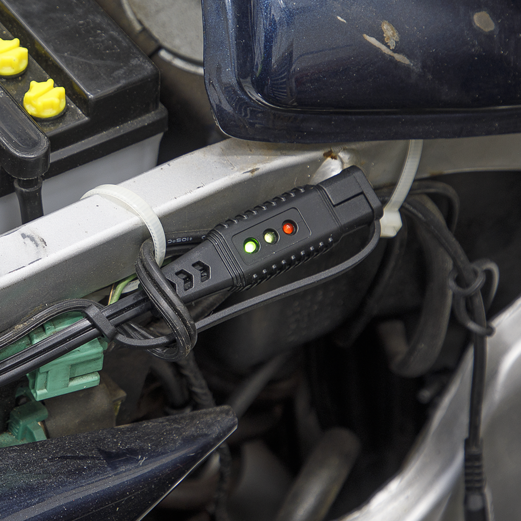 12V Ring Terminal Battery Indicator Cable (BCC2)
