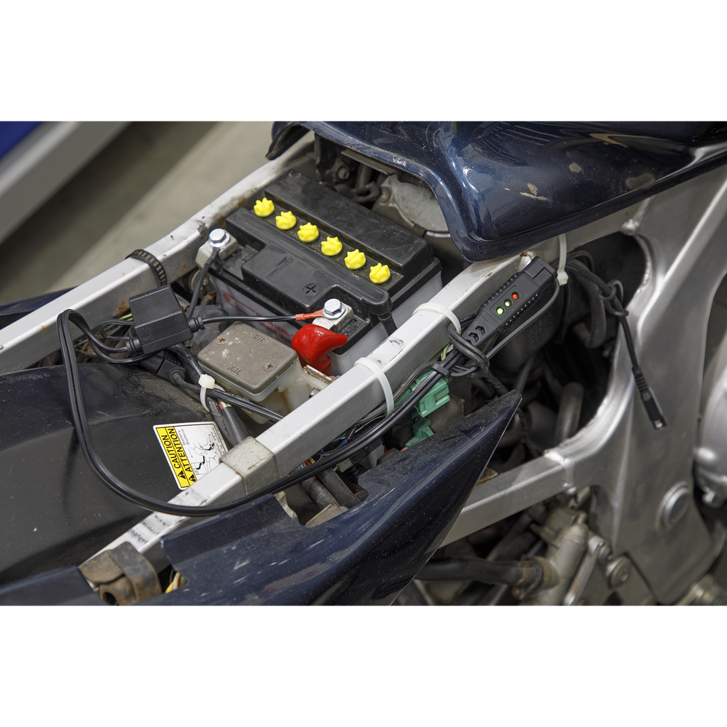 12V Ring Terminal Battery Indicator Cable (BCC2)