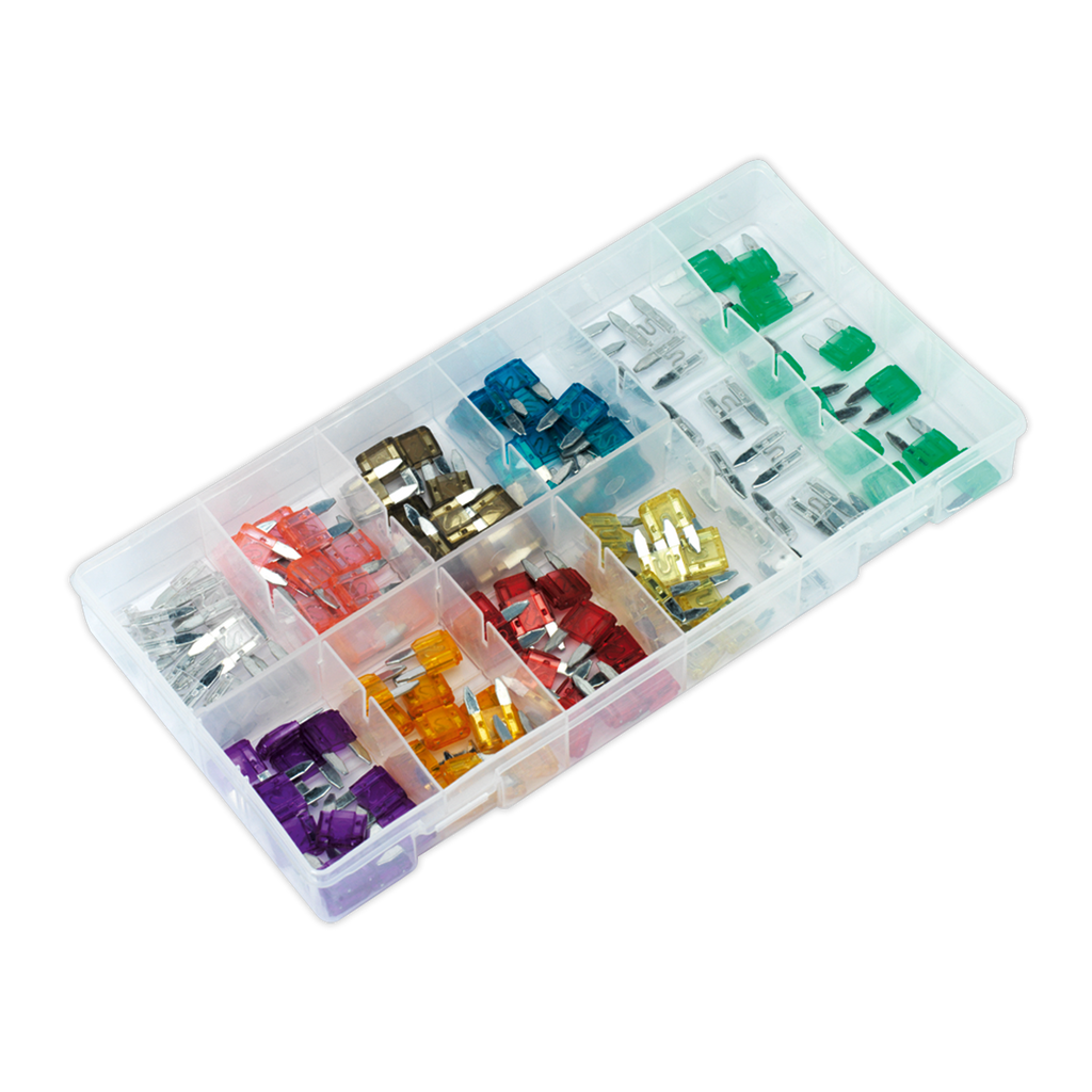 Automotive MINI Blade Fuse Assortment 100pc