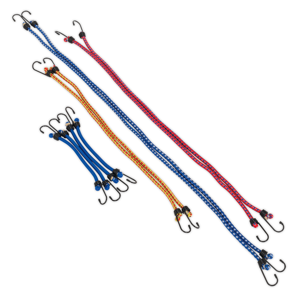 Bungee Cord Set 10pc