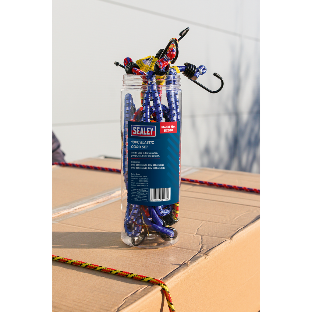 Bungee Cord Set 10pc