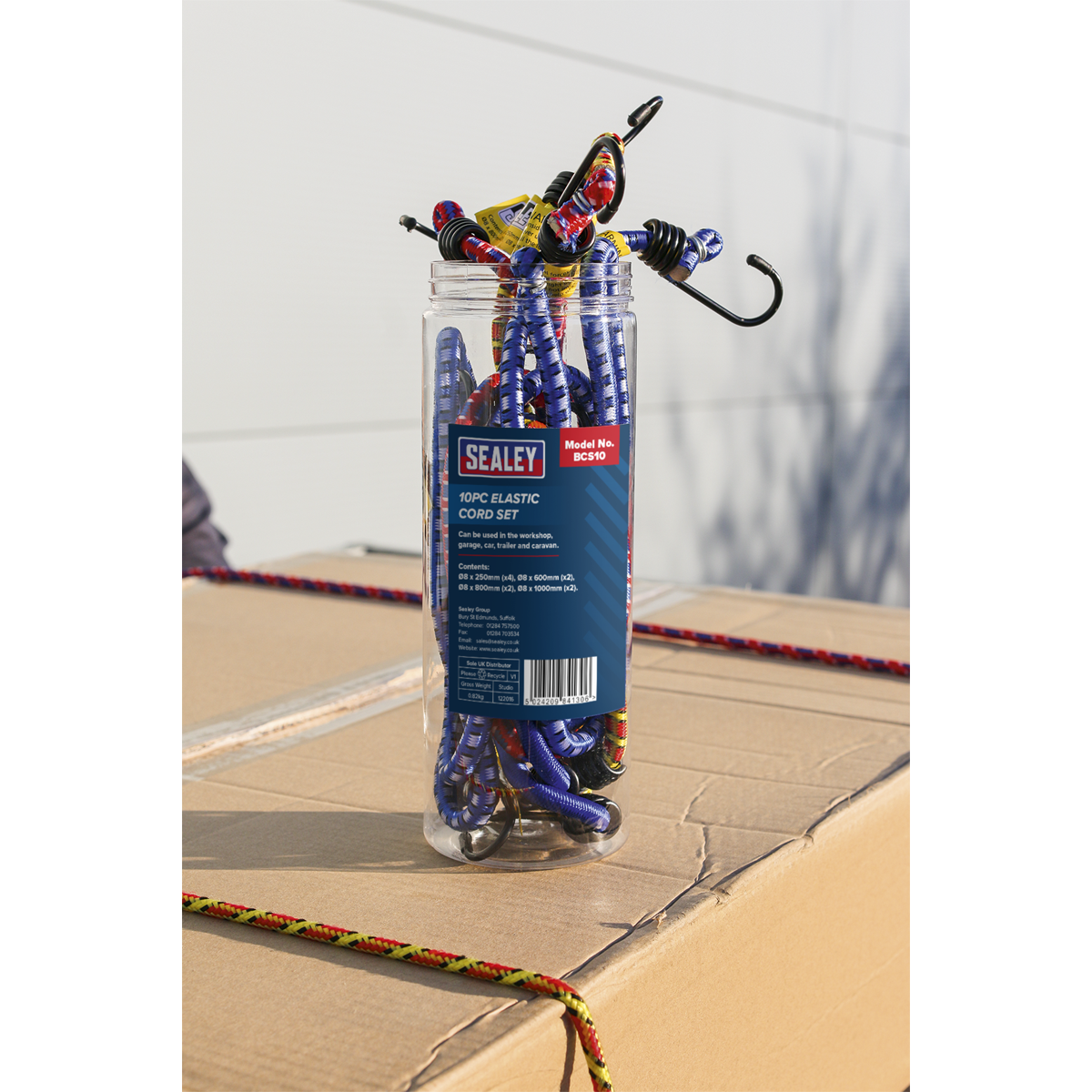 Bungee Cord Set 10pc