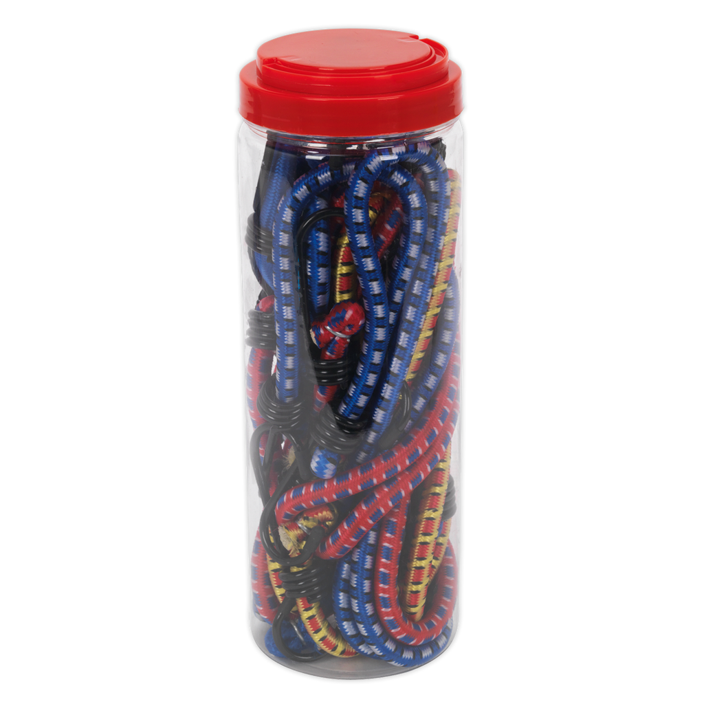 Bungee Cord Set 10pc