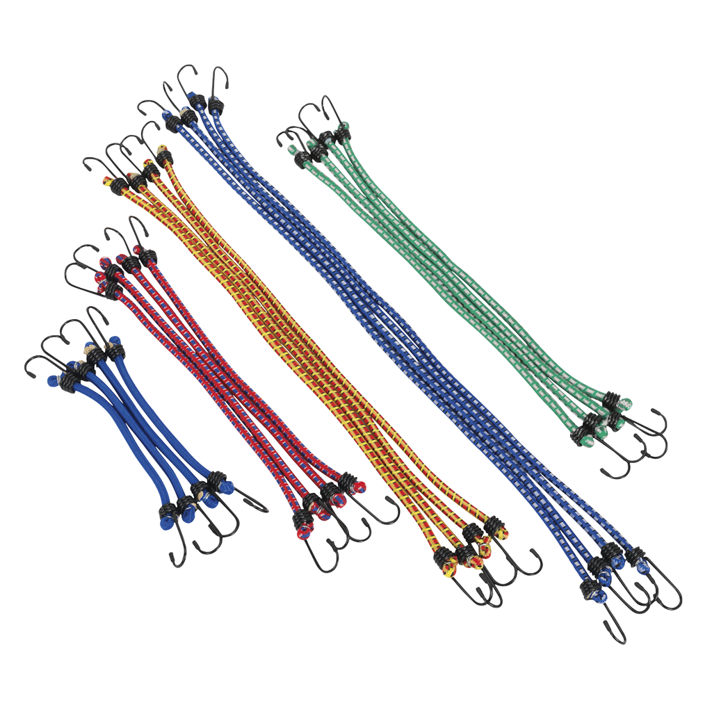 Bungee Cord Set 20pc