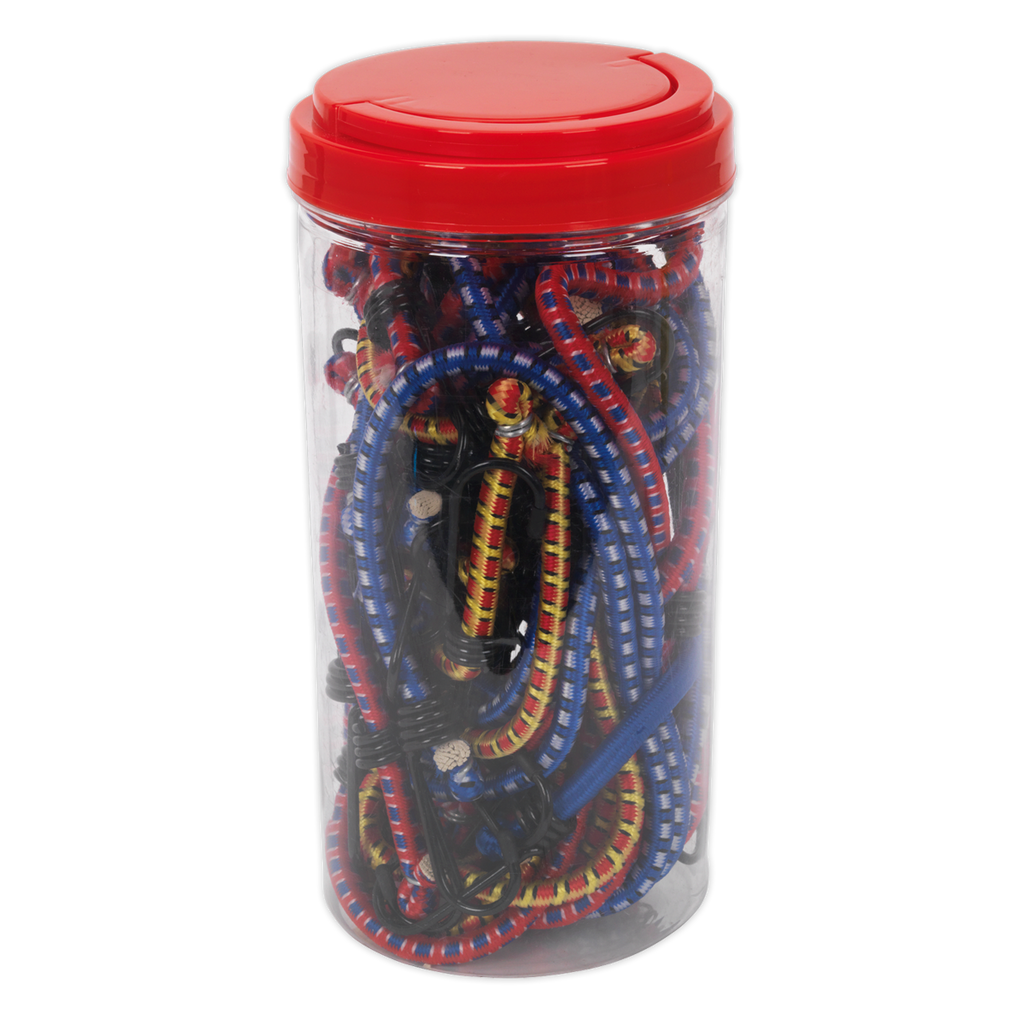 Bungee Cord Set 20pc