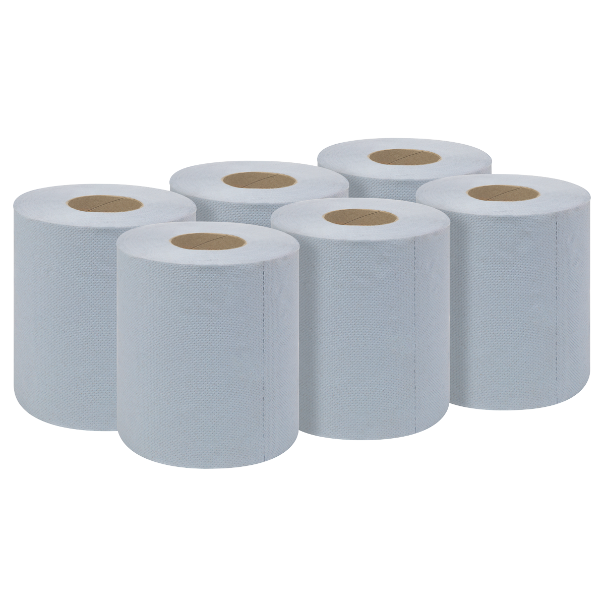 2-Ply Embossed Blue Paper Roll 60m - Pack of 6