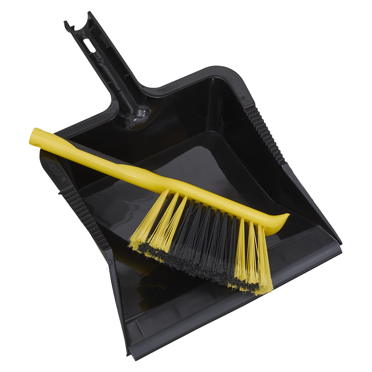 Yard Dustpan & Brush Set