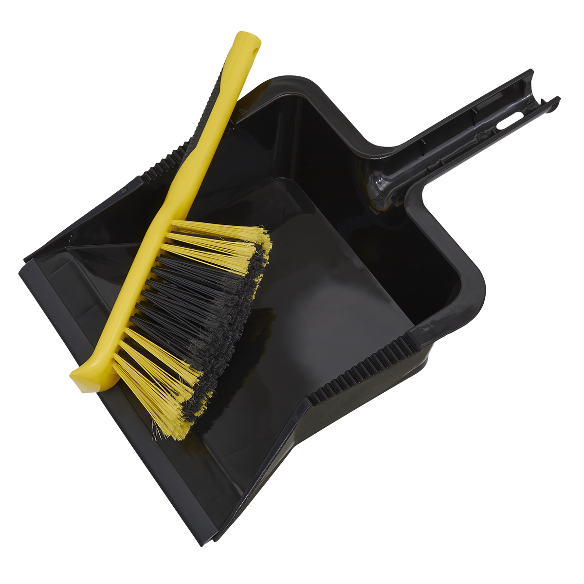 Yard Dustpan & Brush Set