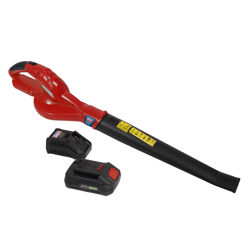SV20 Series Cordless Leaf Blower with 20V 2Ah Battery & Char