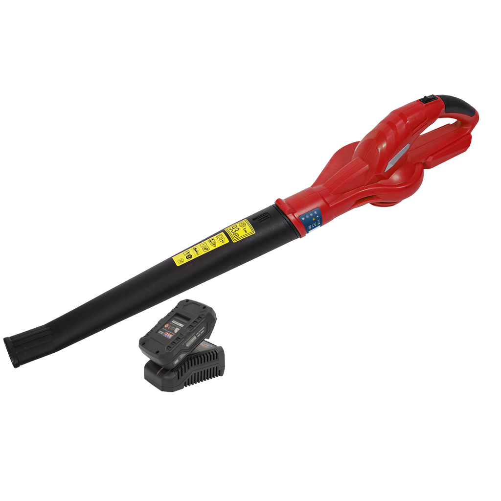 SV20 Series Cordless Leaf Blower with 20V 2Ah Battery & Char