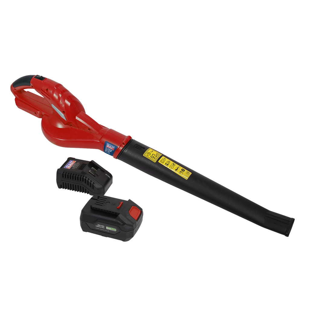 SV20 Series Cordless Leaf Blower with 20V 4Ah Battery & Char