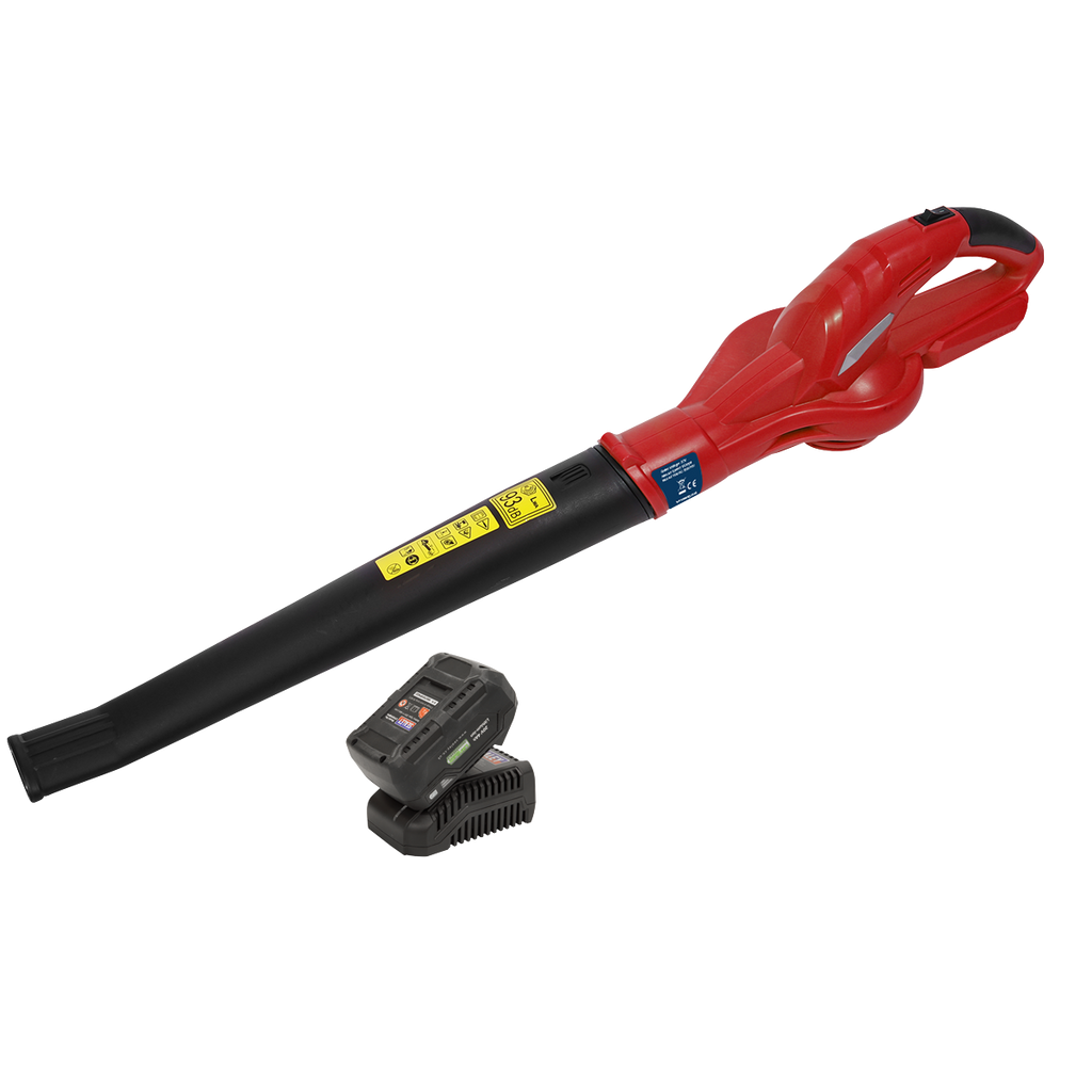 SV20 Series Cordless Leaf Blower with 20V 4Ah Battery & Char