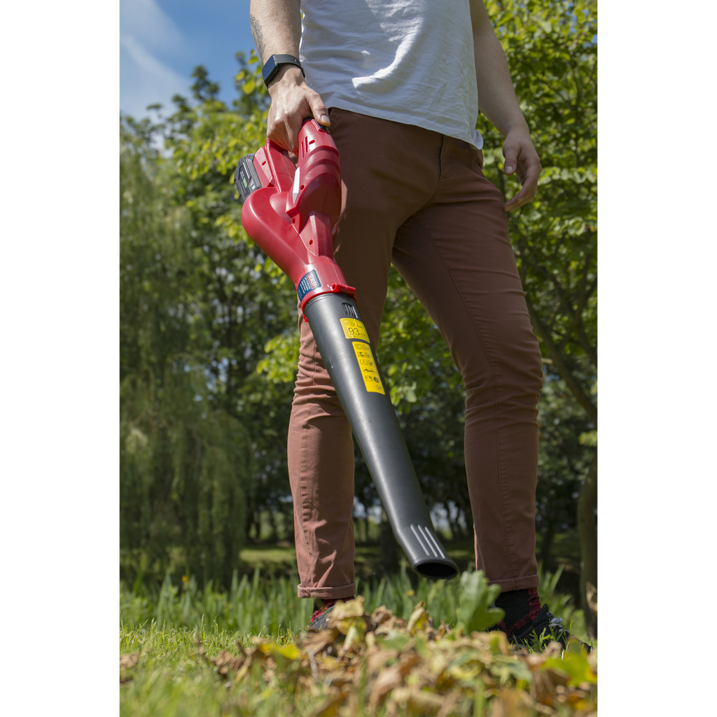 SV20 Series Cordless Leaf Blower with 20V 2Ah Battery & Char