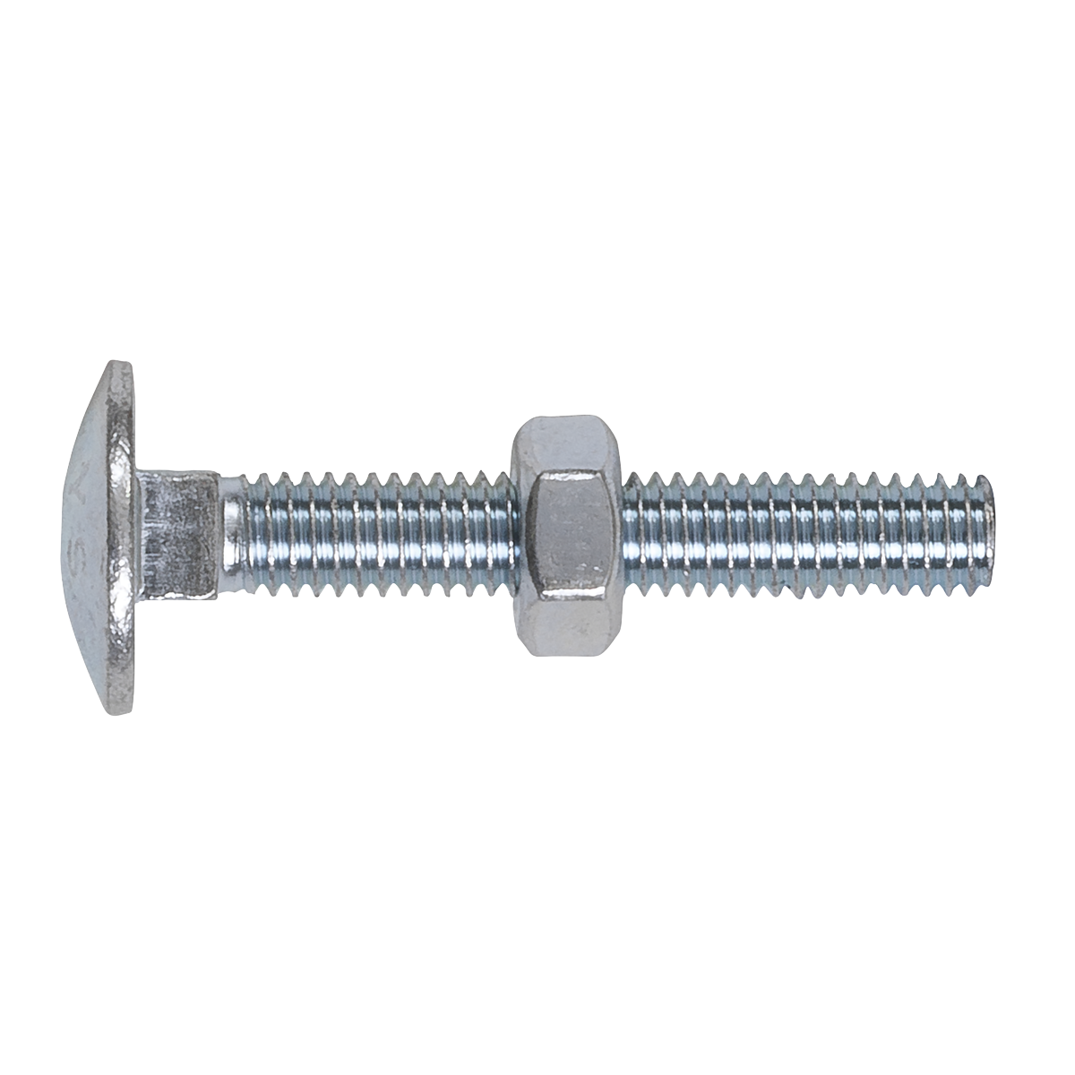 Zinc Plated Coach Bolt & Nut M6 x 40mm, DIN 603 - Pack of 10