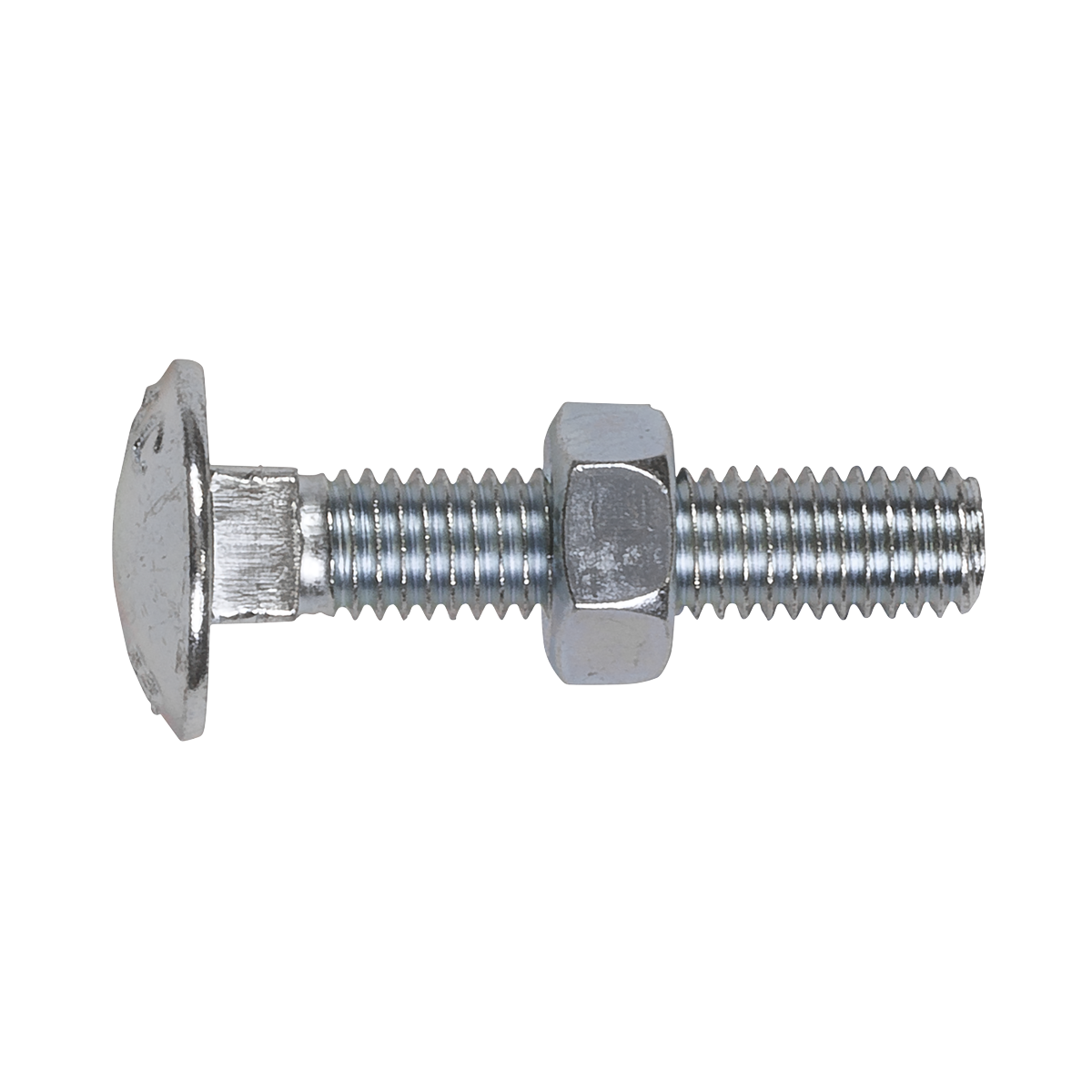 Zinc Plated Coach Bolt & Nut M8 x 40mm, DIN 603 - Pack of 50