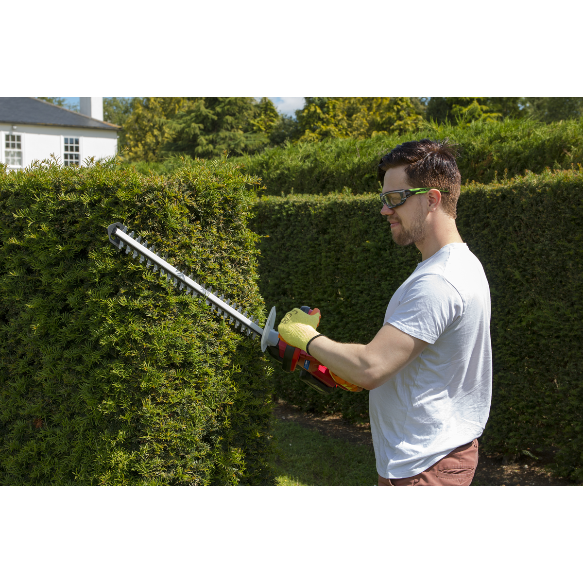 SV20 Series Cordless Hedge Trimmer 20V 4Ah with Battery & Ch