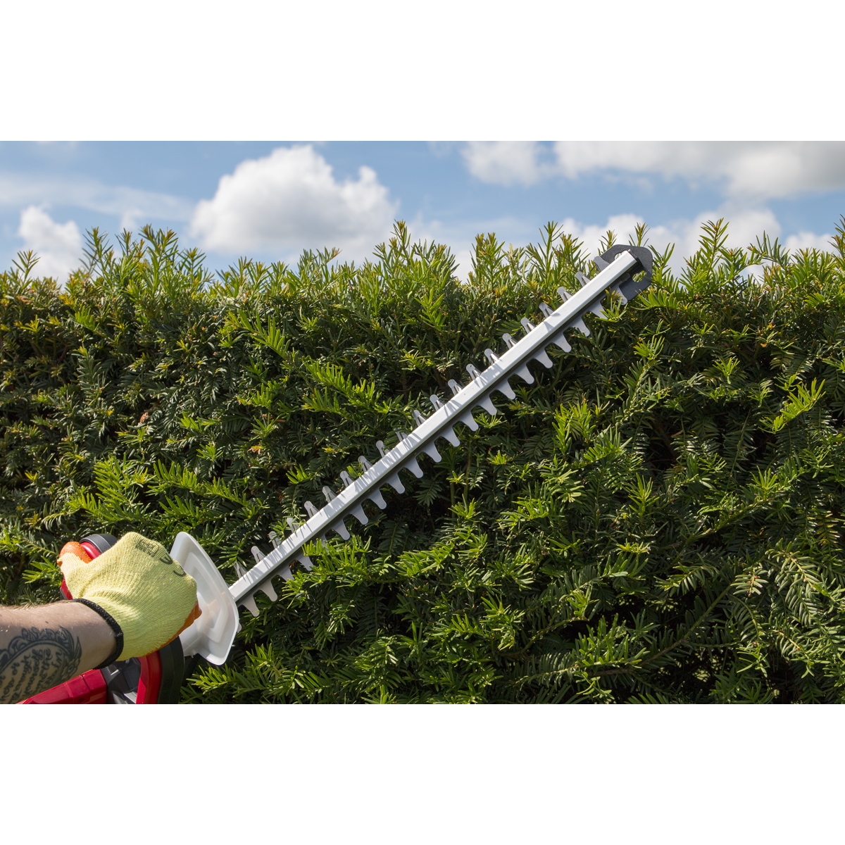 SV20 Series 52cm Cordless Hedge Trimmer 20V - Body Only