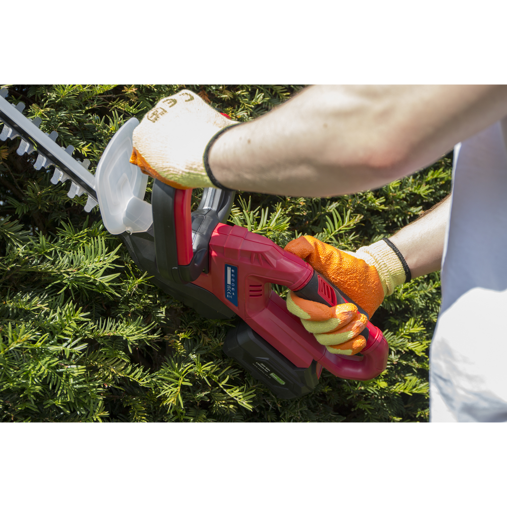 SV20 Series Cordless Hedge Trimmer 20V 4Ah with Battery & Ch