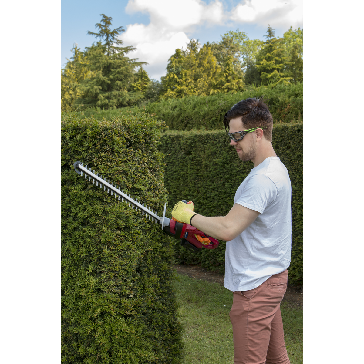 SV20 Series 52cm Cordless Hedge Trimmer 20V 2Ah with Battery