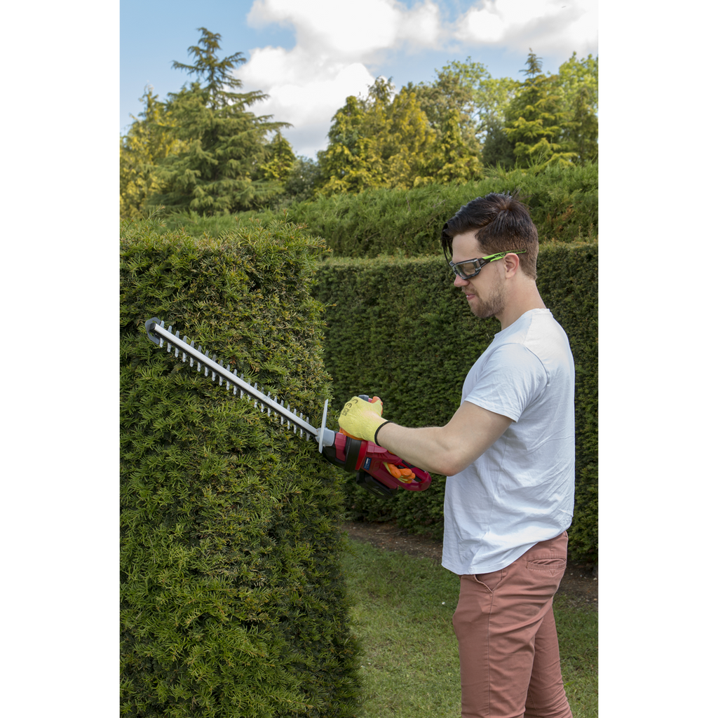 SV20 Series Cordless Hedge Trimmer 20V 4Ah with Battery & Ch