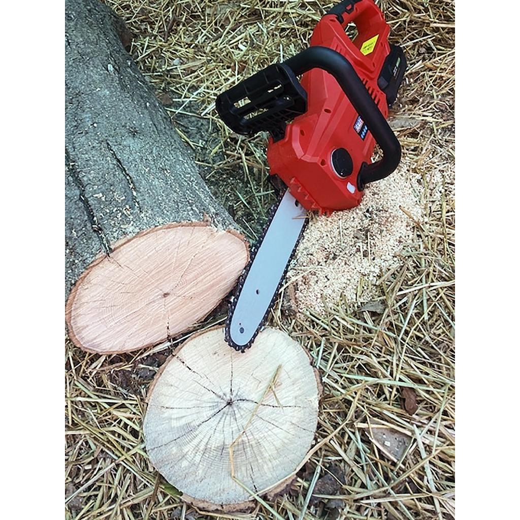 SV20 Series 25cm Cordless Chainsaw Kit 20V 4Ah - 2 Batteries