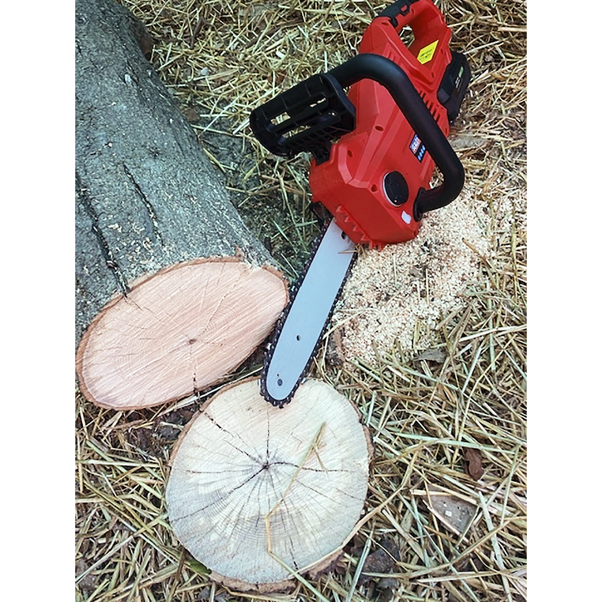 SV20 Series 25cm Cordless Chainsaw Kit 20V 4Ah - 2 Batteries