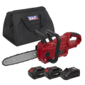 SV20 Series 25cm Cordless Chainsaw Kit 20V 4Ah - 2 Batteries