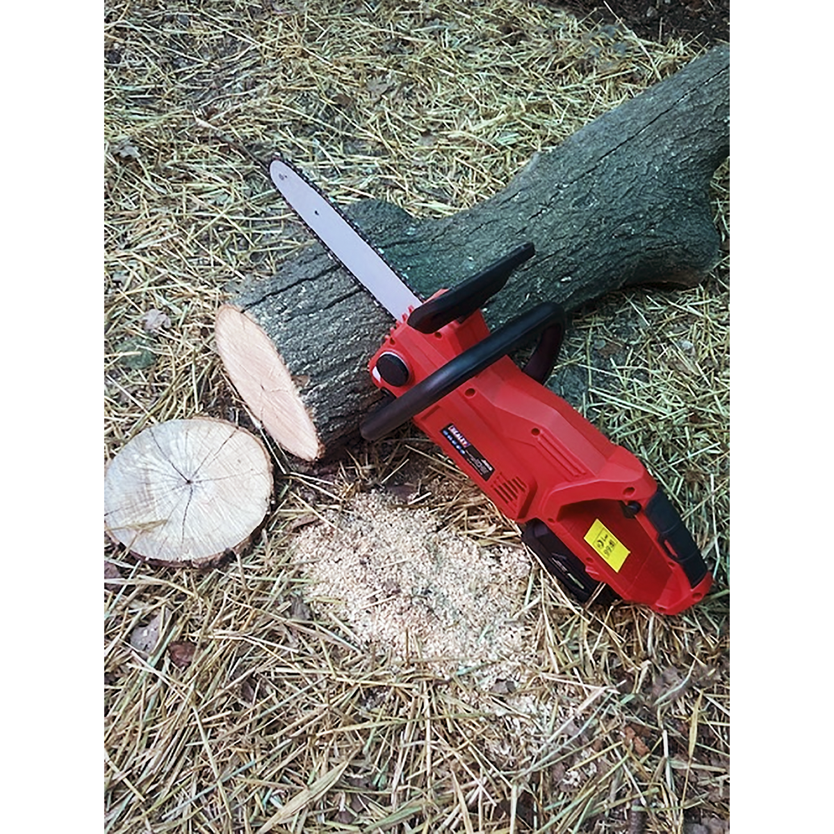 SV20 Series 25cm Cordless Chainsaw 20V - Body Only