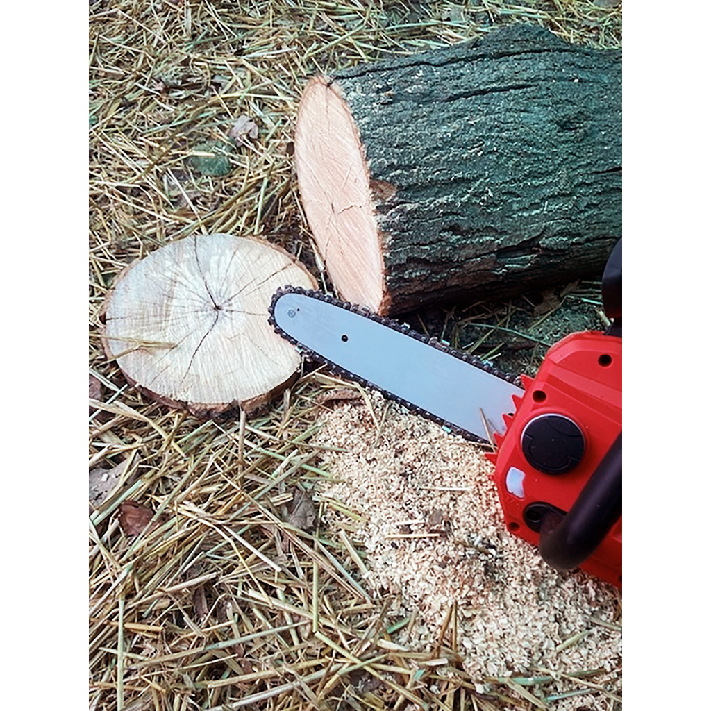 SV20 Series 25cm Cordless Chainsaw 20V - Body Only