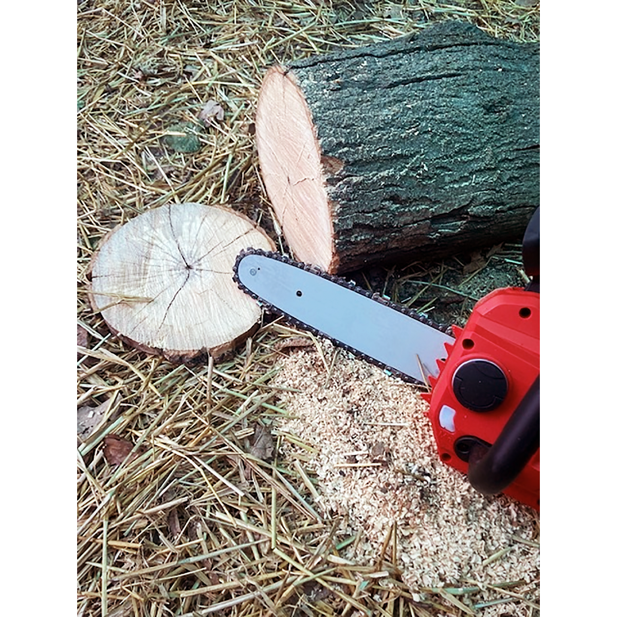SV20 Series 25cm Cordless Chainsaw 20V - Body Only
