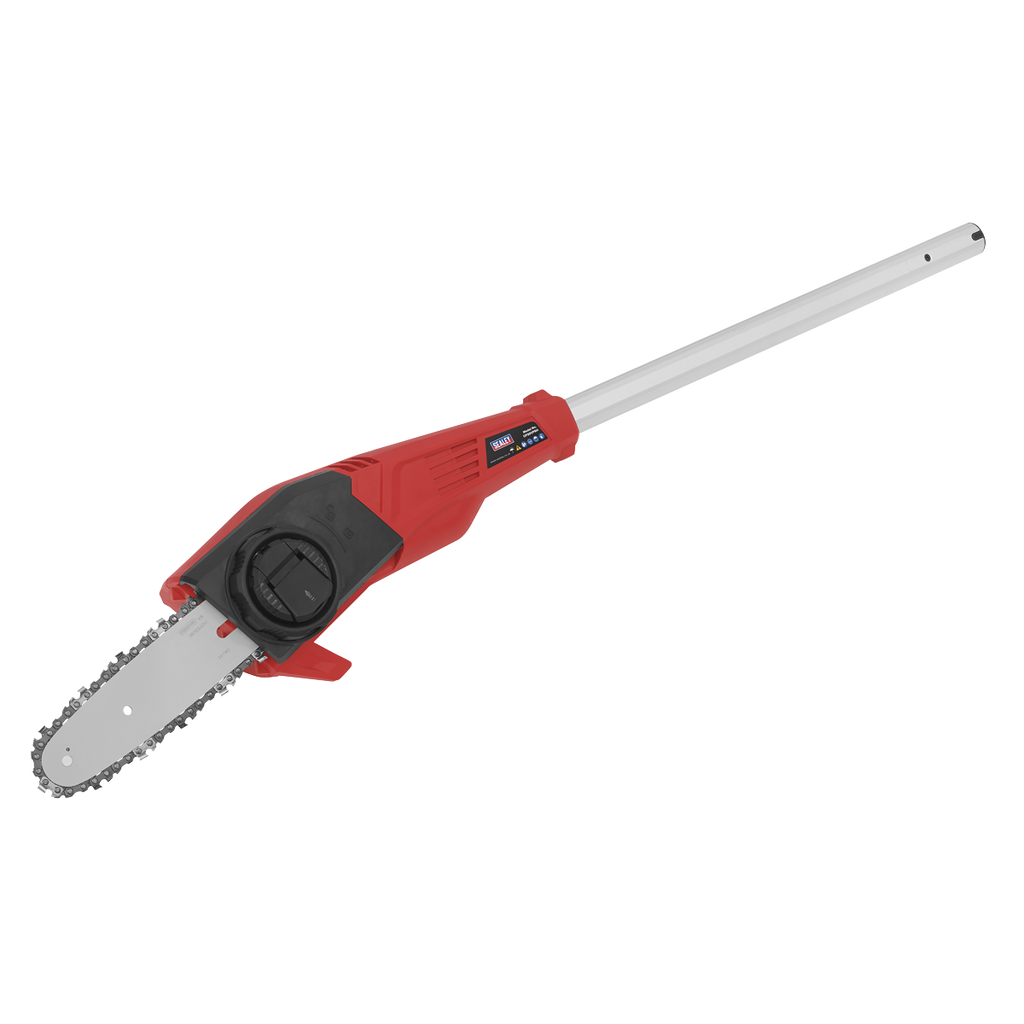 SV20 Series 20cm Cordless Telescopic Chainsaw Kit 20V 4Ah