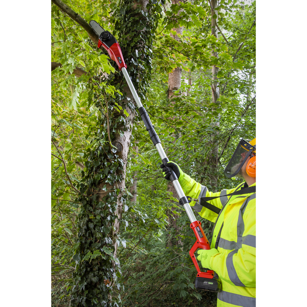 SV20 Series 20cm Cordless Telescopic Chainsaw Kit 20V 4Ah