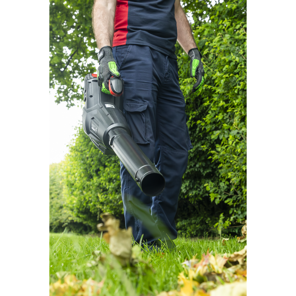 SV20 Series Cordless Blower 40V - Body Only