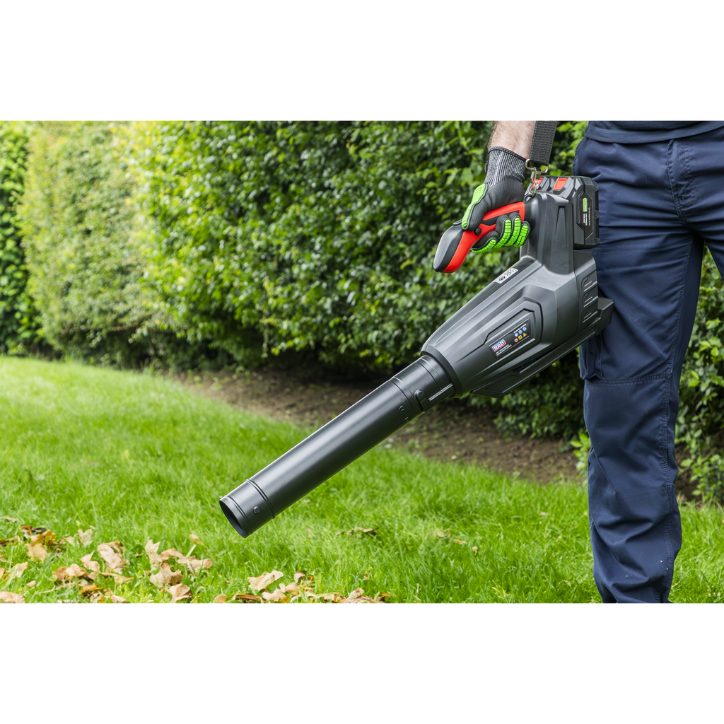 SV20 Series Cordless Blower 40V - Body Only