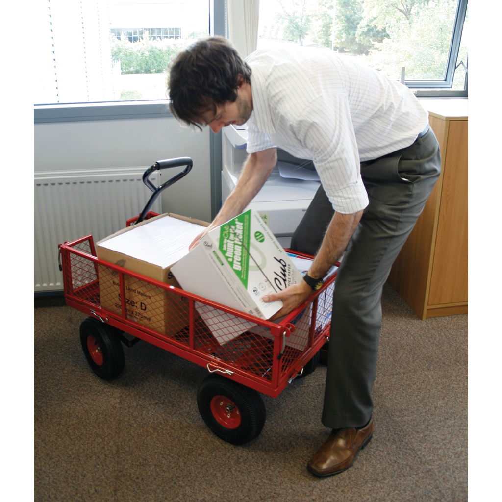Platform Truck with Removable Sides & Pneumatic Tyres 200kg